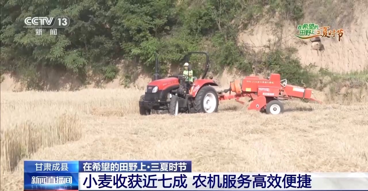 一看二数三称重四“统一” 解锁层层梯田上小麦的丰收密码