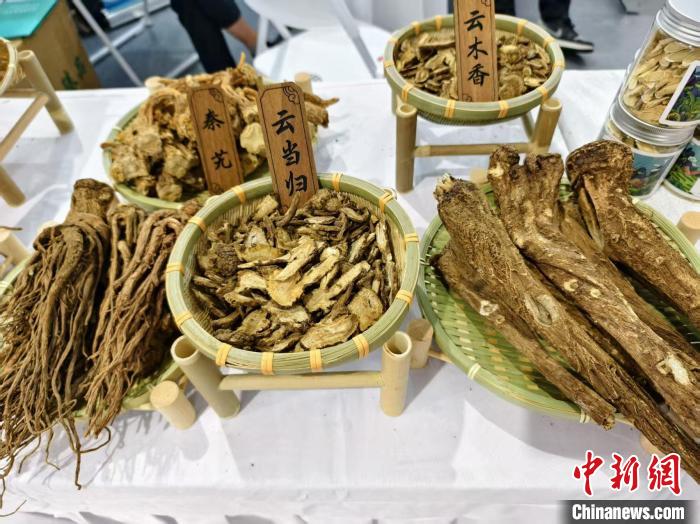 全国多地医药专家齐聚昆明 为传统医药发展“开新方”