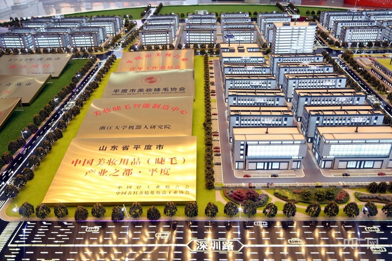 民营经济新观察丨“小”睫毛如何“眨出”百亿级大产业？