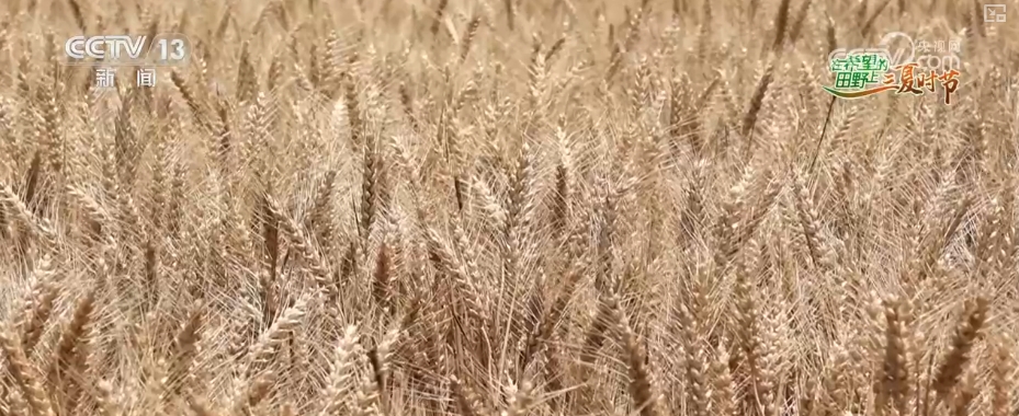 10月份全球制造业PMI为49.7%