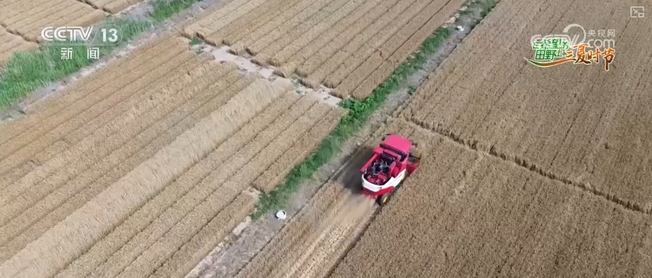 以种适地、以虫治虫……科技赋能“三夏” “智慧种地”绘就好“丰”景