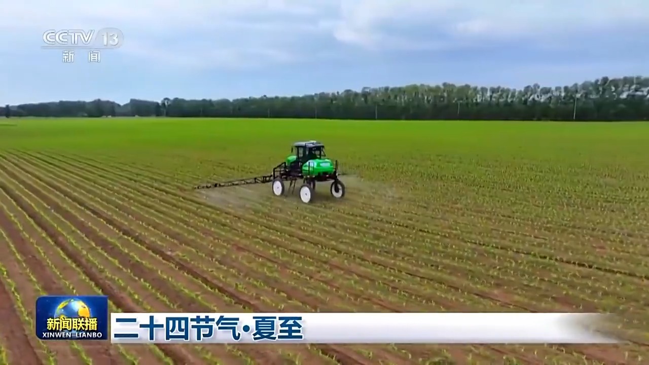 文化中国行丨二十四节气·夏至 阳气鼎盛万物并秀