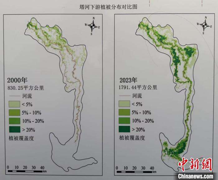 新疆若羌巧治流沙 台特玛湖焕然新生