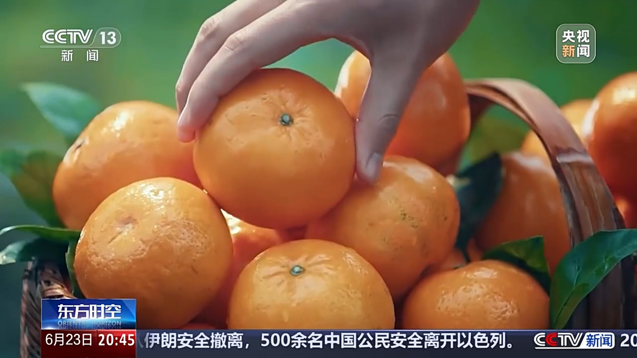 跑出加速度、新活力！揭秘中国独角兽企业的成长破圈秘诀