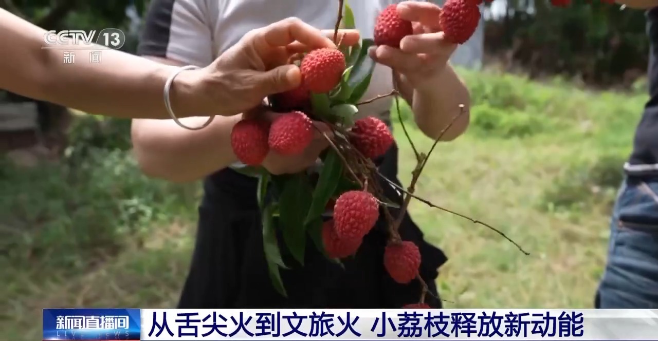 边看“荔枝”边吃荔枝 小小荔枝如何火热出圈