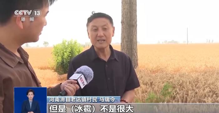 有视频就有真相？清远地裂、滑县“绝收”、重庆“命案”连环揭伪