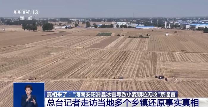 有视频就有真相？清远地裂、滑县“绝收”、重庆“命案”连环揭伪