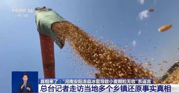 有视频就有真相？清远地裂、滑县“绝收”、重庆“命案”连环揭伪