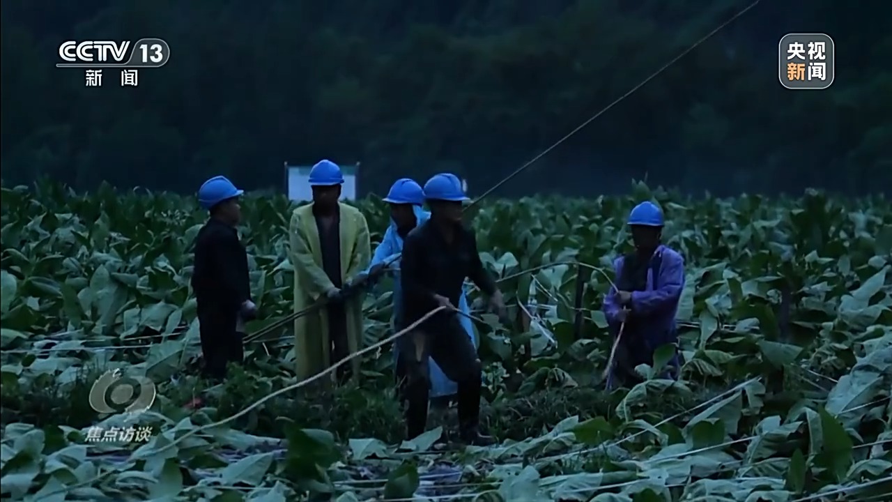 焦点访谈丨汛情如令 他们在狂风暴雨中逆行