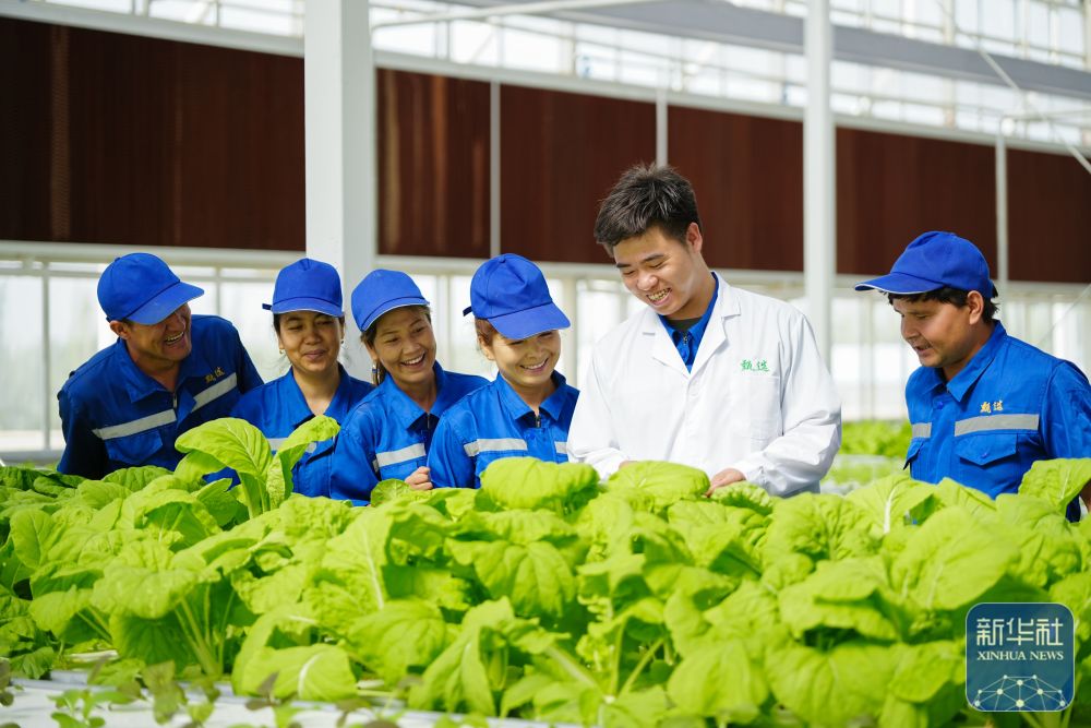 对口援疆助力戈壁兴建智慧农业植物工厂