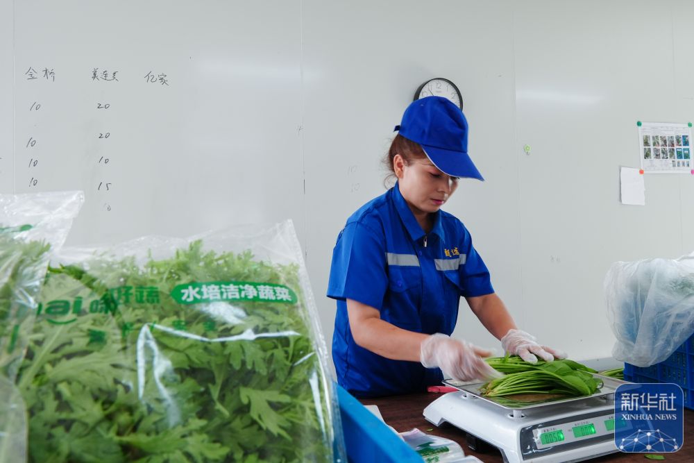 对口援疆助力戈壁兴建智慧农业植物工厂