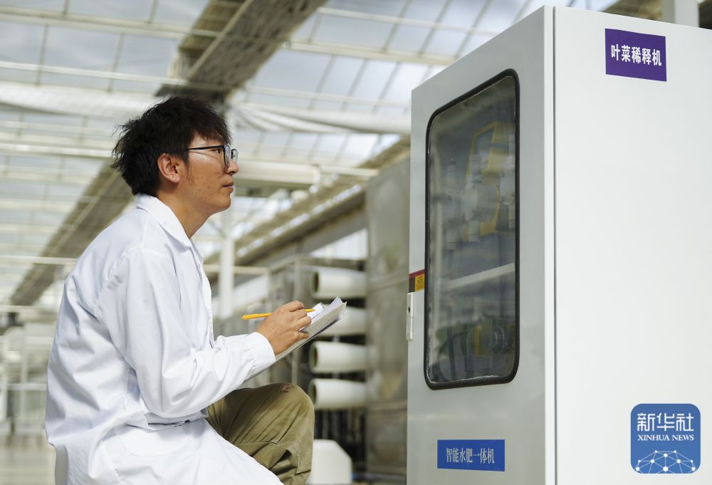 对口援疆助力戈壁兴建智慧农业植物工厂