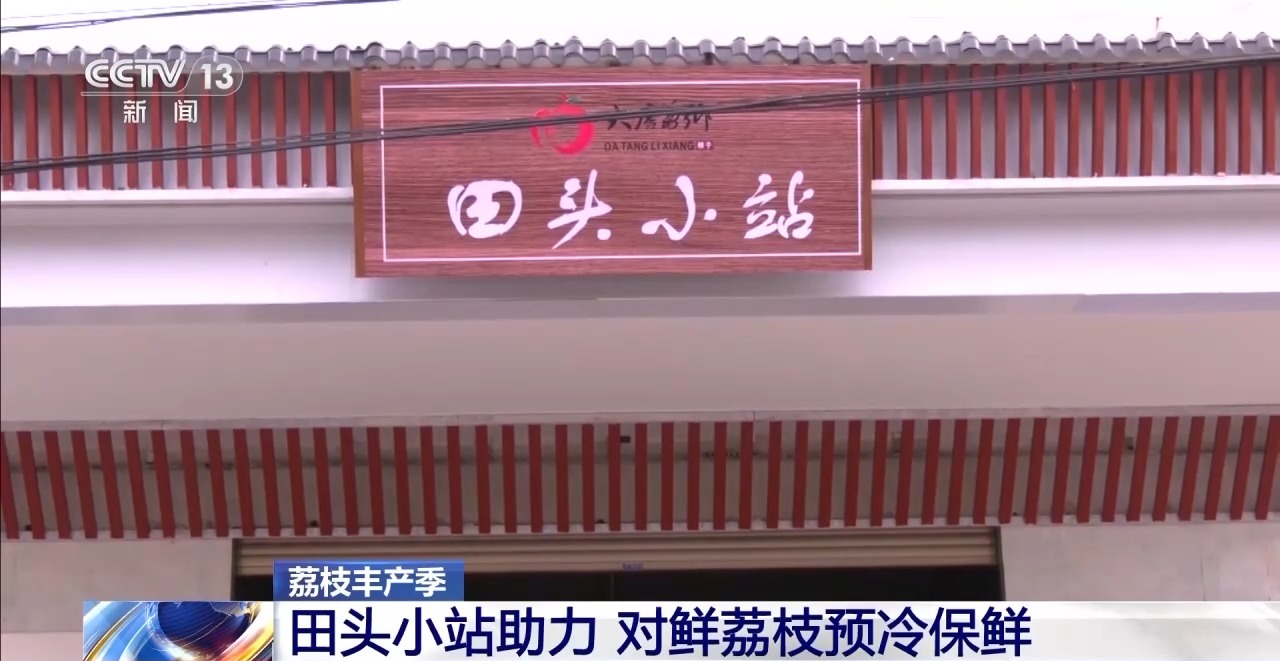 从岭南枝头到全球餐桌 广东荔枝解锁“四季鲜”密码
