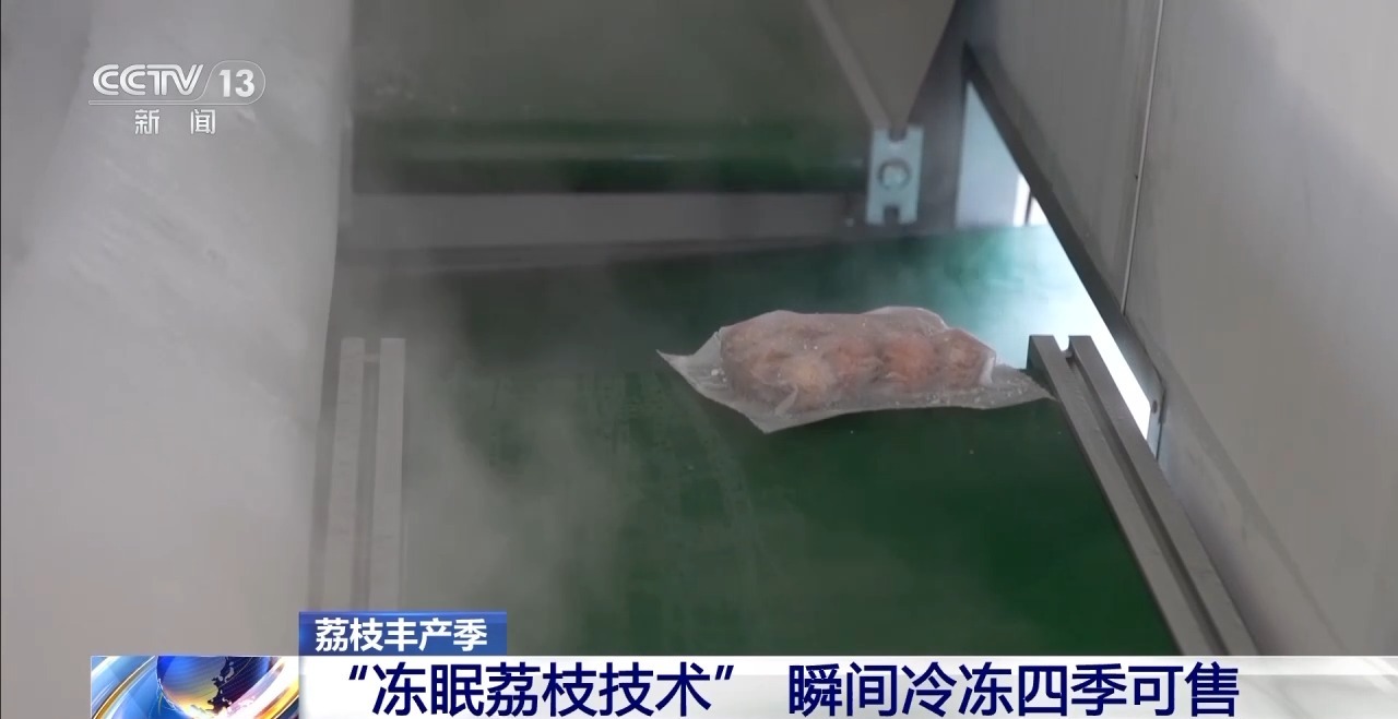 从岭南枝头到全球餐桌 广东荔枝解锁“四季鲜”密码
