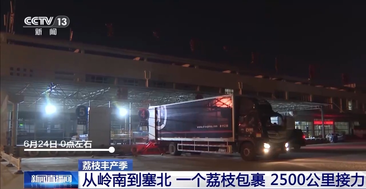 从岭南枝头到全球餐桌 广东荔枝解锁“四季鲜”密码
