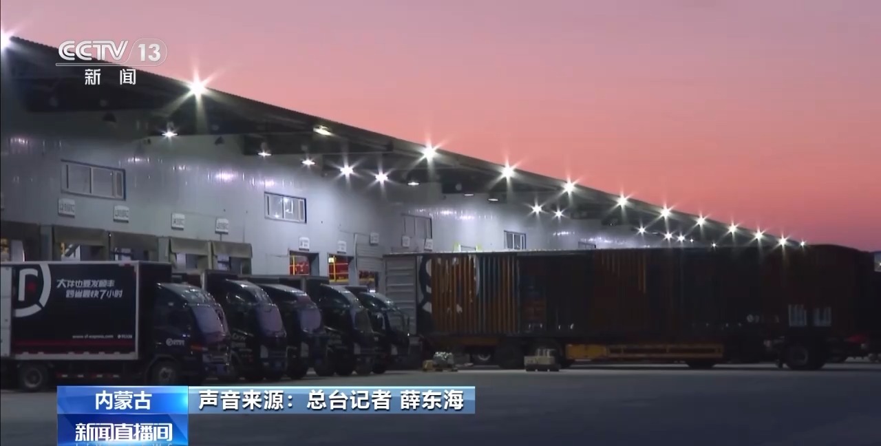 从岭南枝头到全球餐桌 广东荔枝解锁“四季鲜”密码