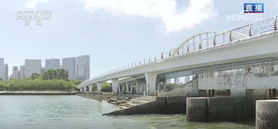 生态画卷展新“颜” 增“绿”生“金”点亮多样消费新场景