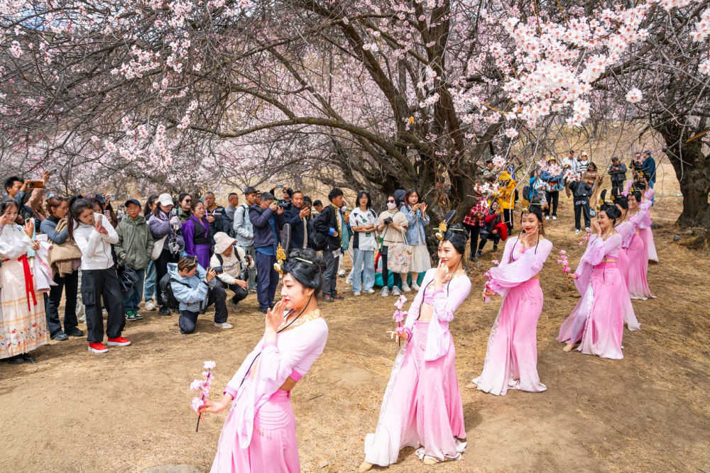 镜观·回响｜擦亮兴边富民的“桃花村”品牌