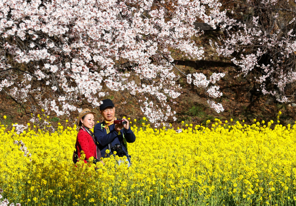 镜观·回响｜擦亮兴边富民的“桃花村”品牌