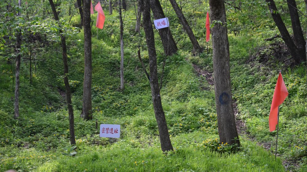 铭记历史 缅怀先烈|白山黑水见证：从烽火硝烟到振兴热土的巨变