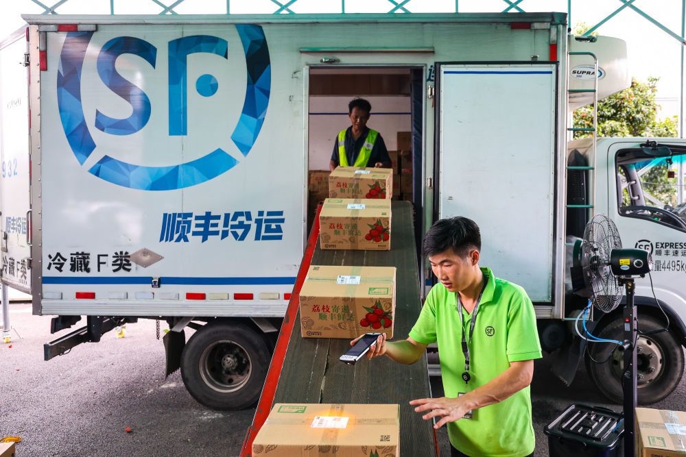 诗意中国丨从岭南到长安——荔枝的十二时辰