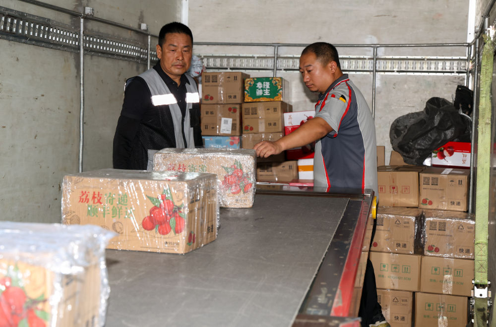 诗意中国丨从岭南到长安——荔枝的十二时辰