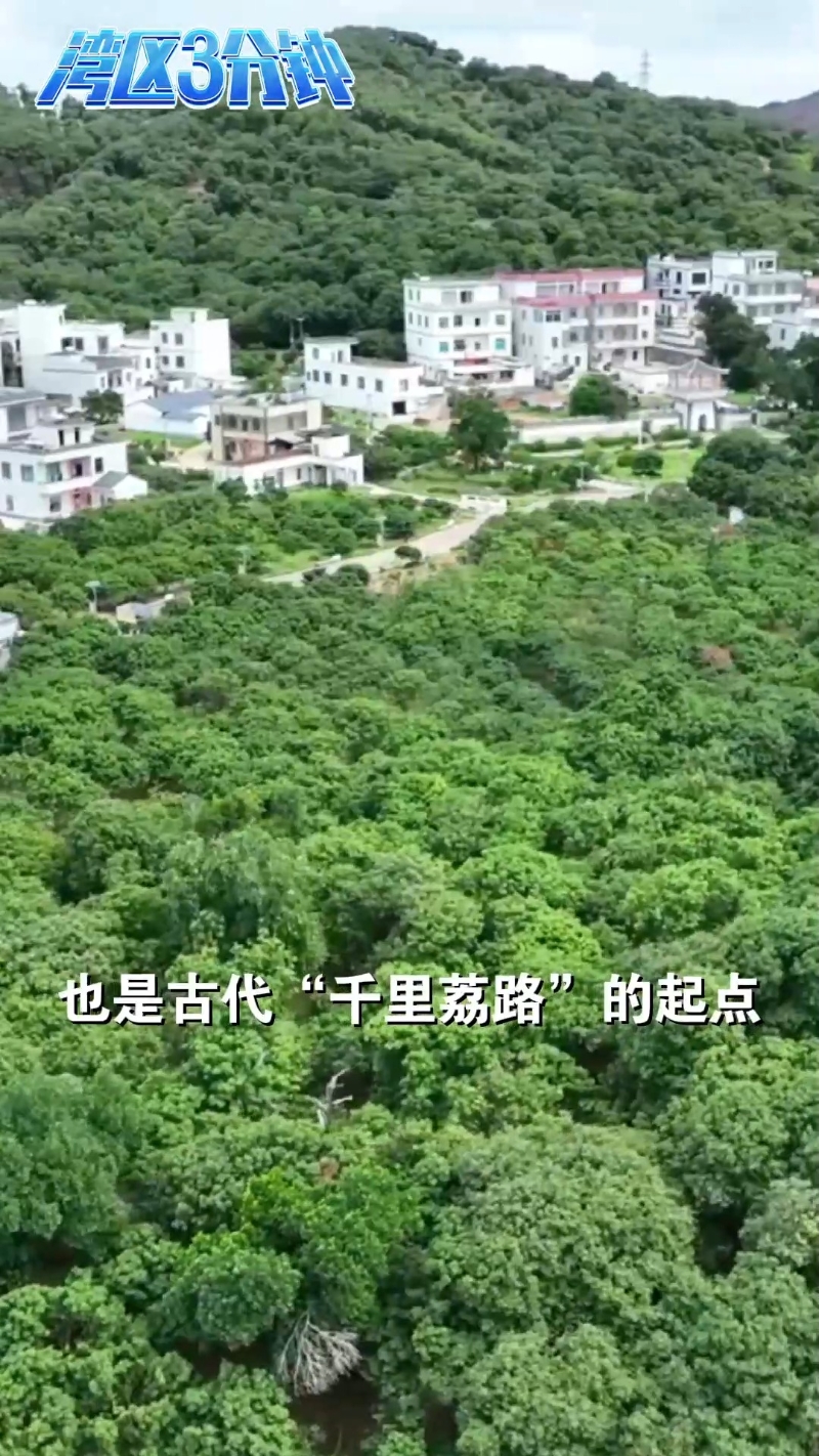 千年荔路今再启 一颗荔枝有多少种可能？