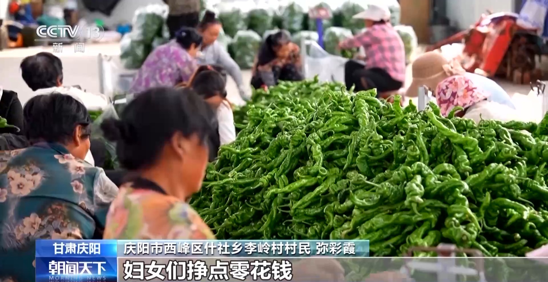 从“陇东粮仓”到算力高地 这块红色热土焕发新活力