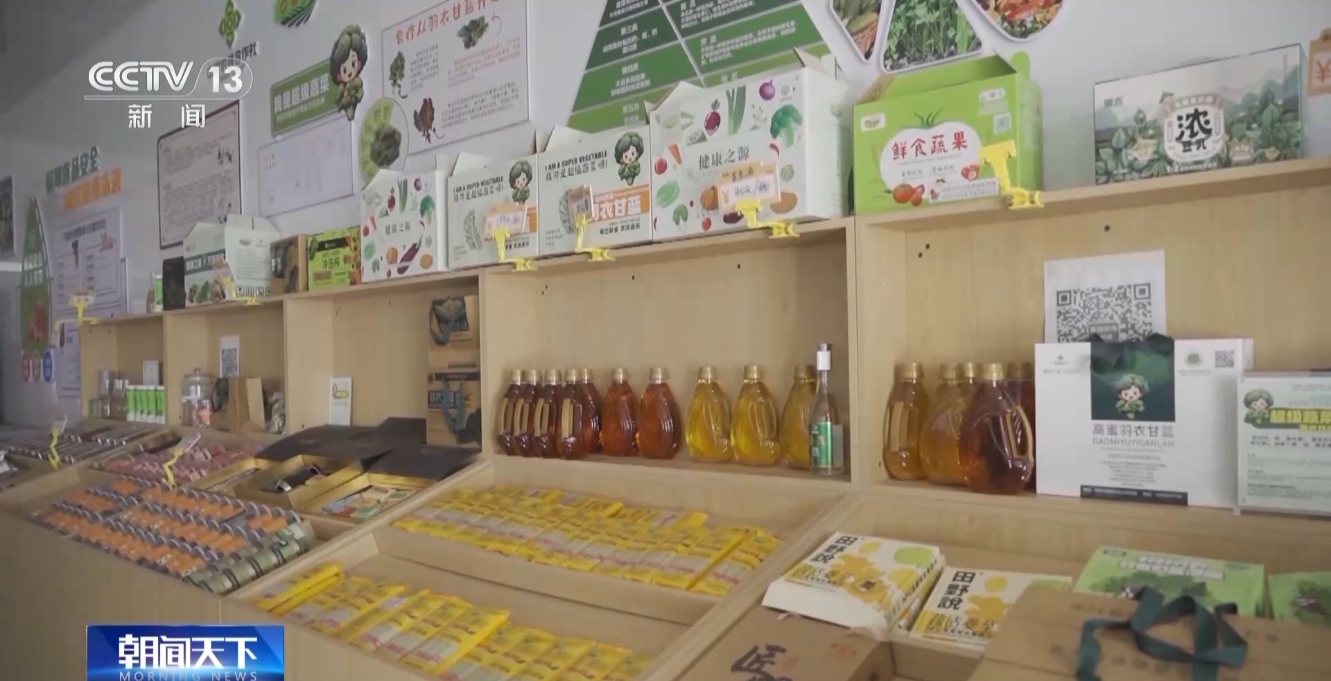 一杯奶茶如何重塑万亩良田？解码中国奶茶“地域密码”