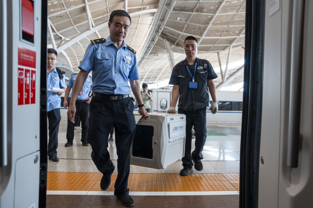 赋能文旅消费 助力暑期经济——各地各部门服务暑运一线见闻