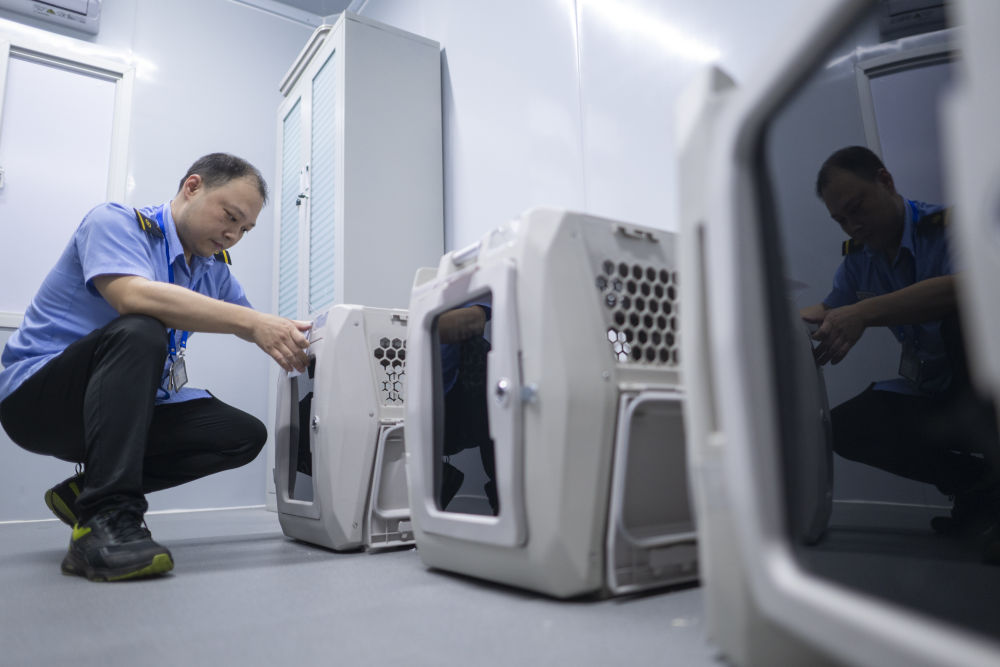 赋能文旅消费 助力暑期经济——各地各部门服务暑运一线见闻
