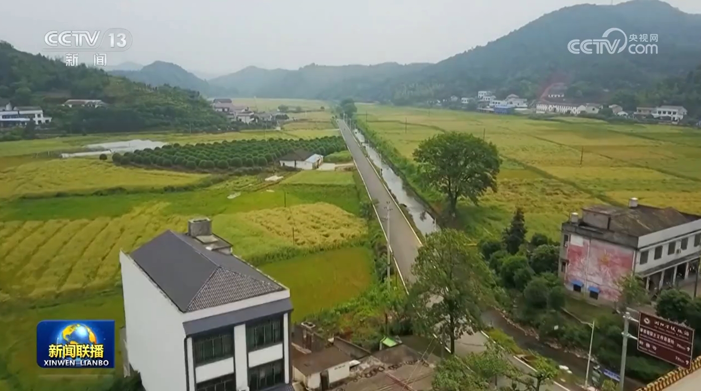今年前五个月全国农村公路固定资产投资超1300亿元