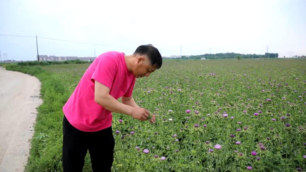 新华视点｜逐梦沃野 共探富民密码