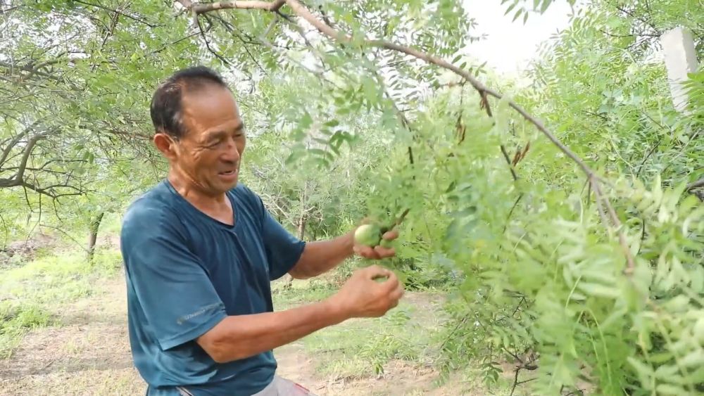 新华视点｜逐梦沃野 共探富民密码