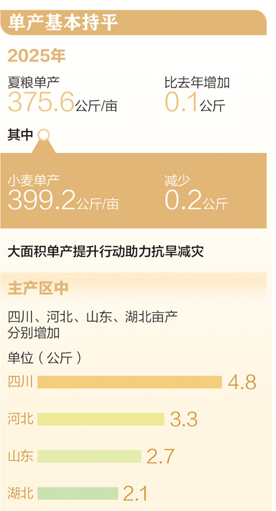 2994.8亿斤，全国夏粮稳产丰收（三夏进行时）