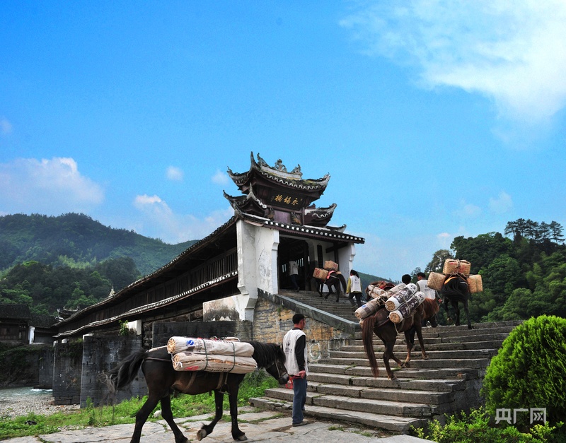 沿着纬度听中国｜寻味安化：薪火茶语 酿出时光沉香