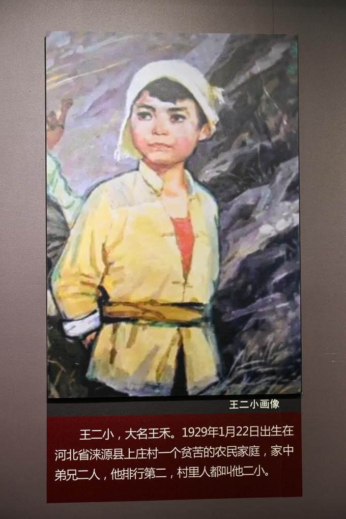 铭记历史 缅怀先烈丨山河回响