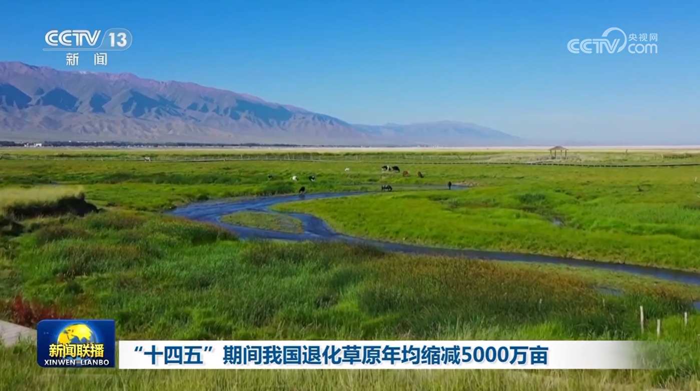 “十四五”期间我国退化草原年均缩减5000万亩