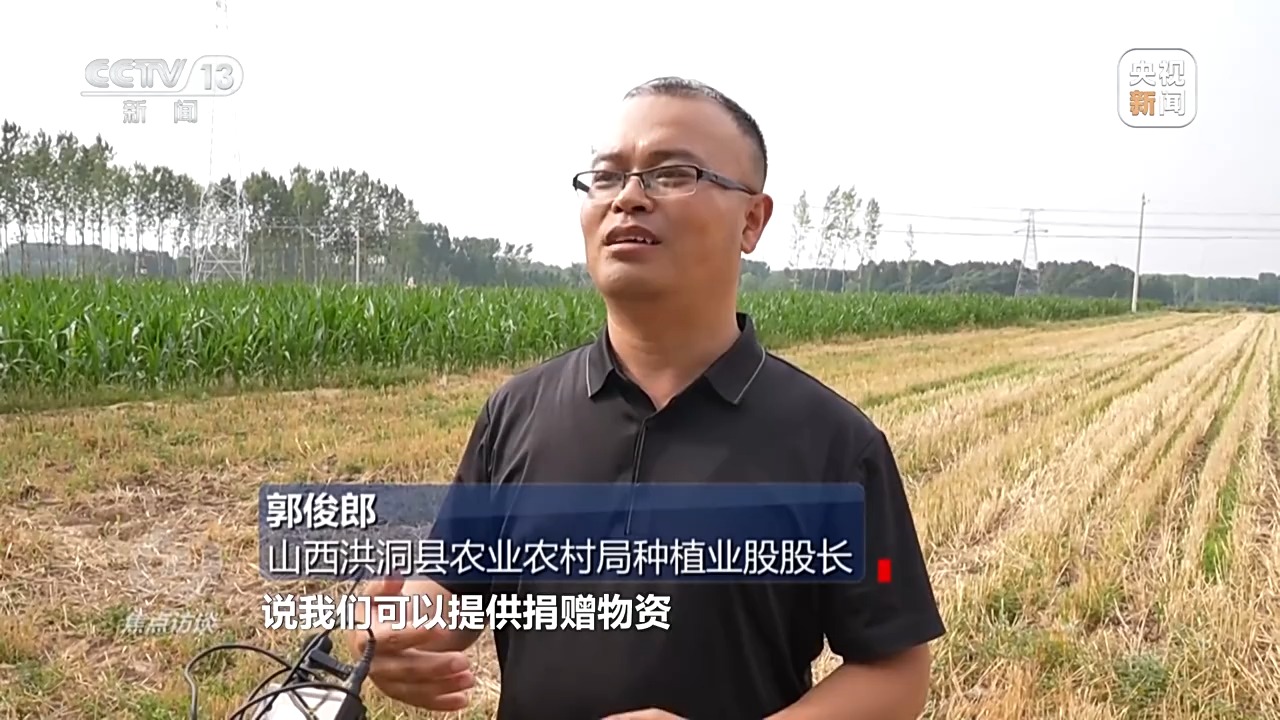 焦点访谈丨“一喷三防”、水肥一体化滴灌 我国夏粮产区抗旱有妙招