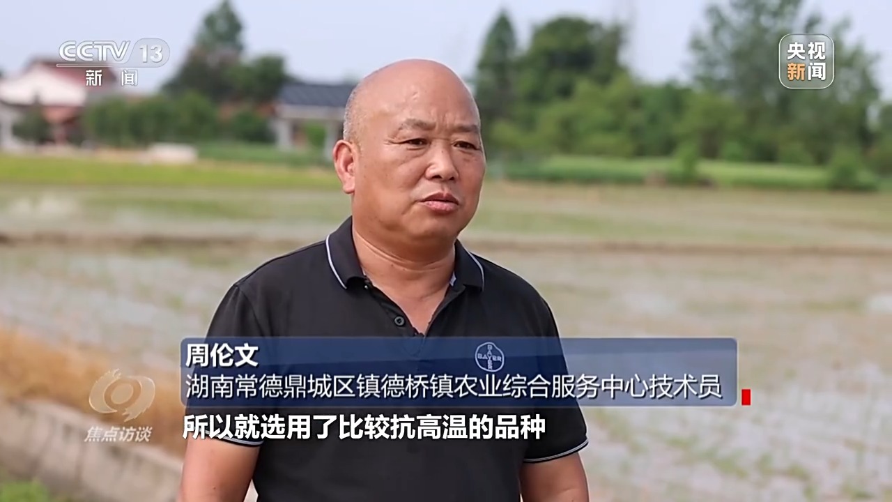 良田+良种+良机+良法 来看各地保丰收秘籍