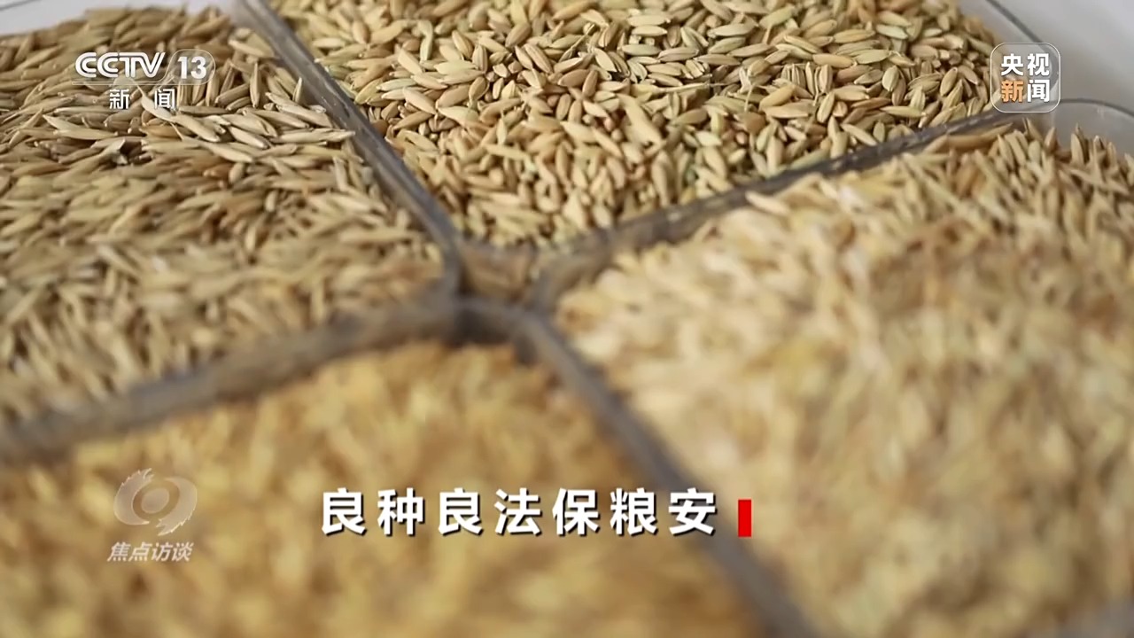 良田+良种+良机+良法 来看各地保丰收秘籍