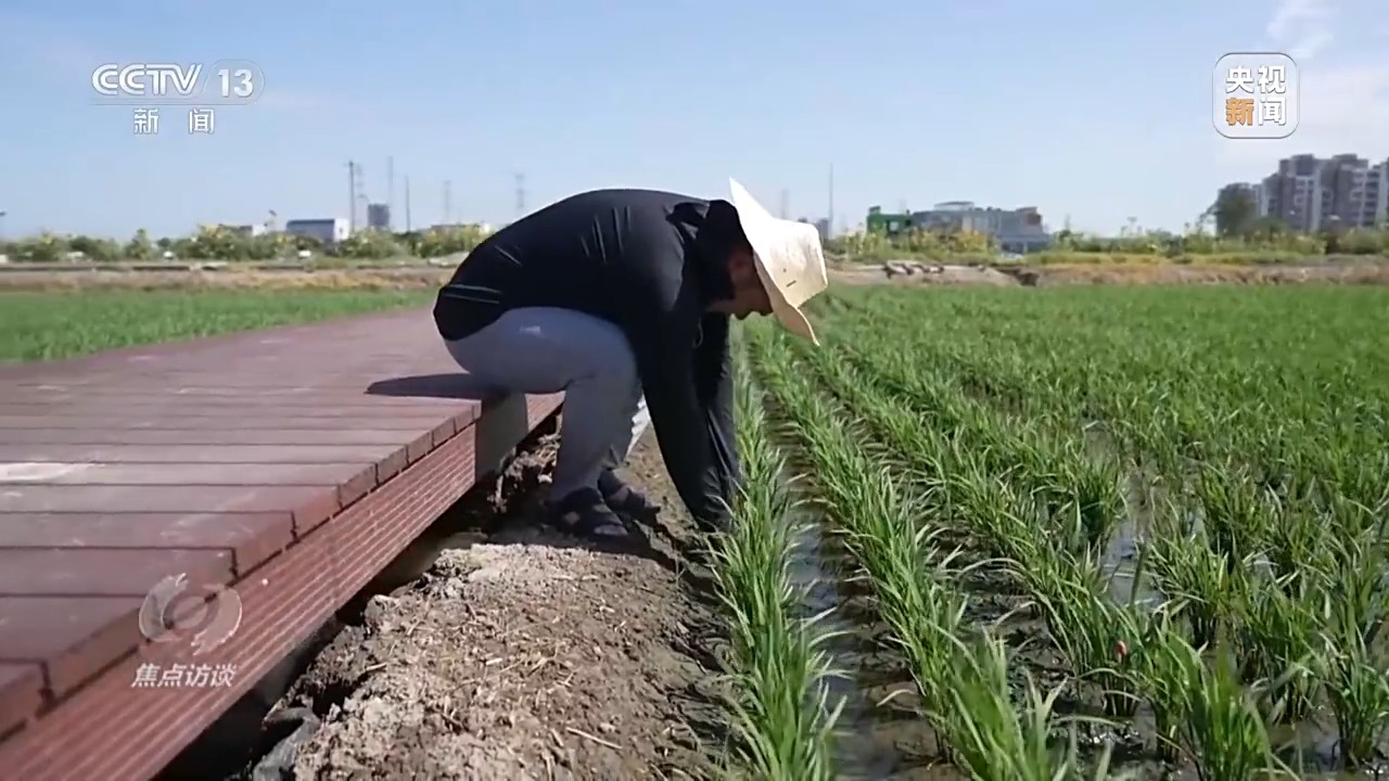良田+良种+良机+良法 来看各地保丰收秘籍
