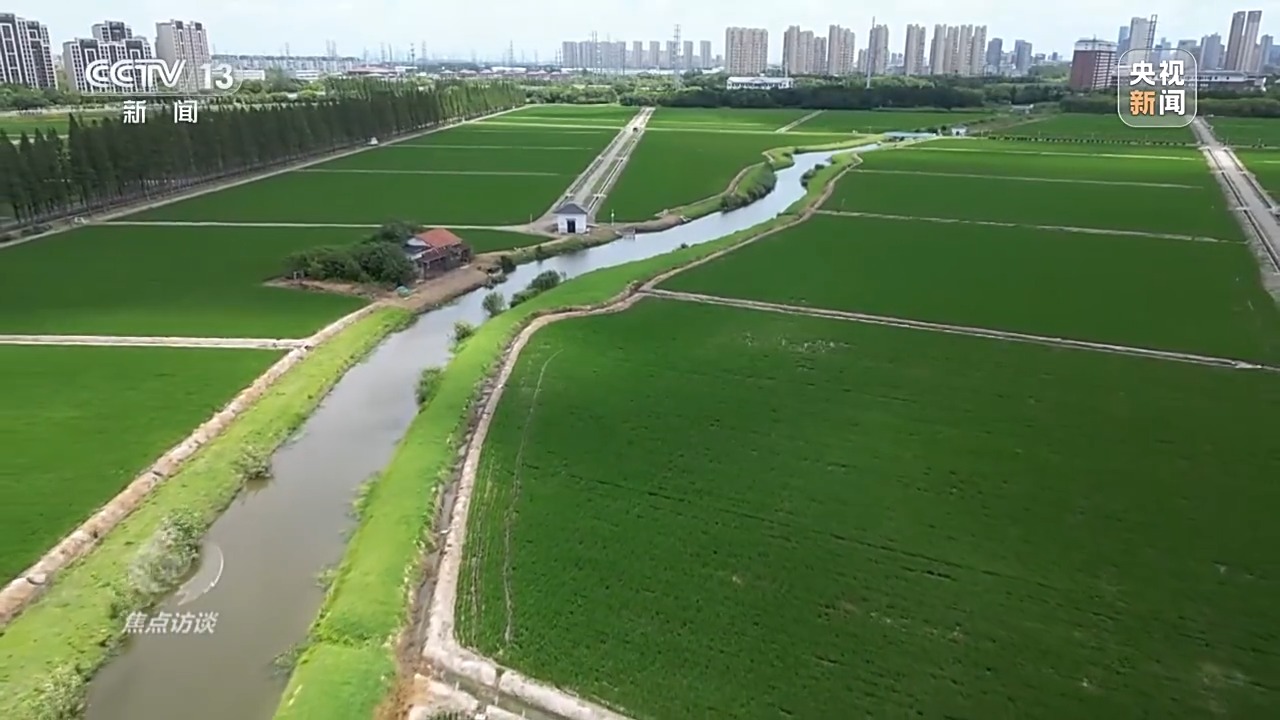 良田+良种+良机+良法 来看各地保丰收秘籍