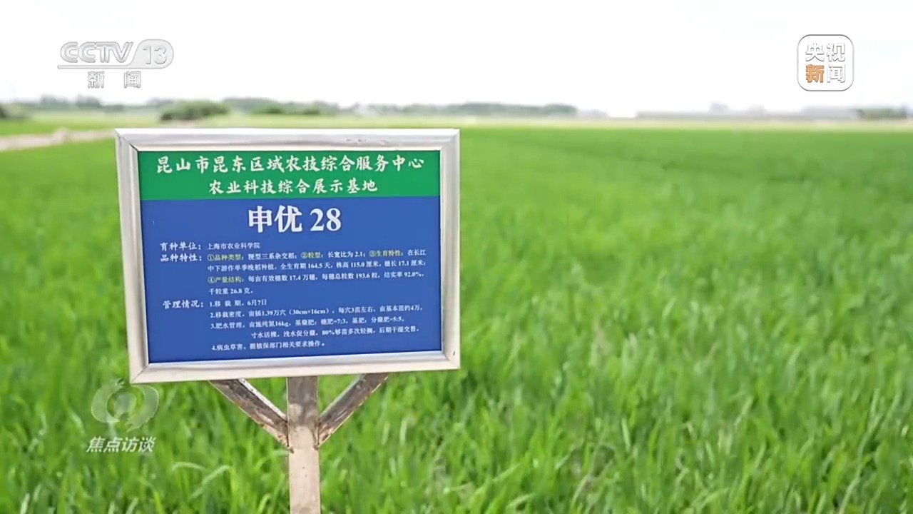 良田+良种+良机+良法 来看各地保丰收秘籍