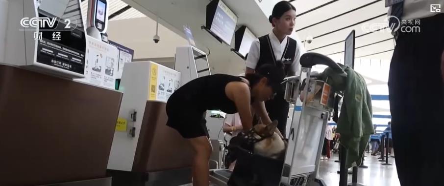 暑运民航市场火热：全国机场客流激增 多样化服务提升旅客出行体验