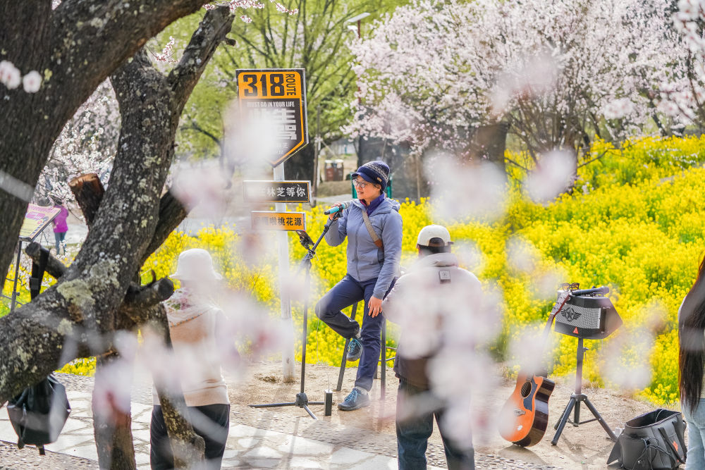 辉煌60载 魅力新西藏｜在西藏 见证写在绿水青山间的生态答卷