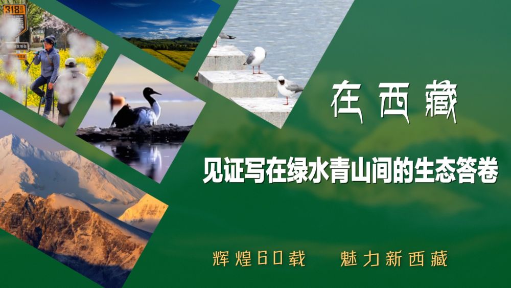辉煌60载 魅力新西藏｜在西藏 见证写在绿水青山间的生态答卷