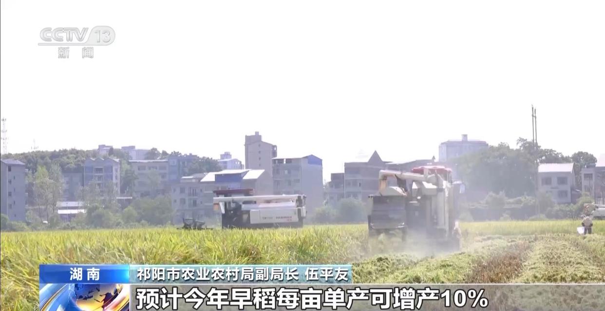 早稻丰收在望 秋粮长势良好 今年的粮食有保障
