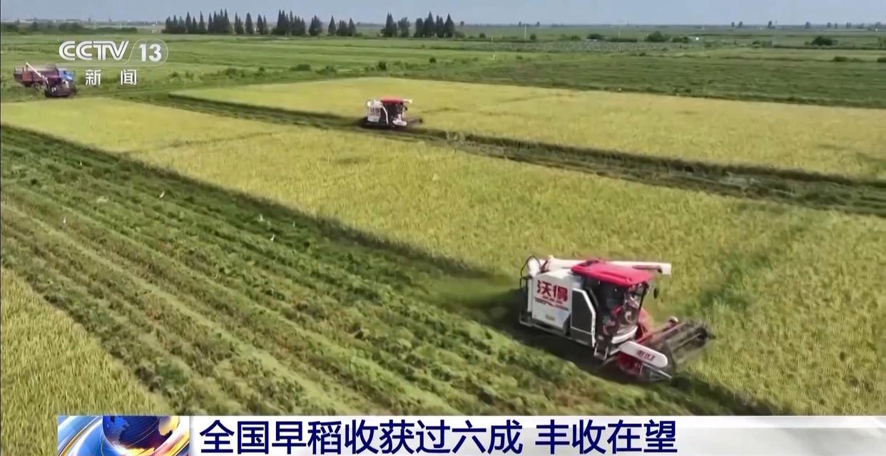 早稻丰收在望 秋粮长势良好 今年的粮食有保障