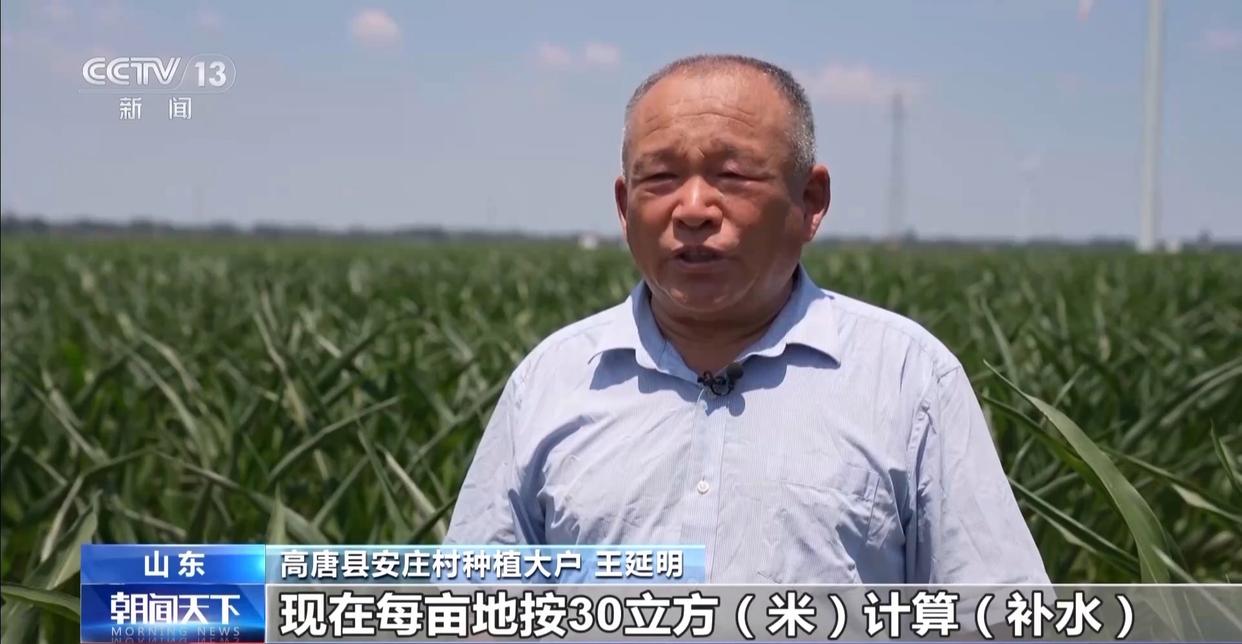 早稻丰收在望 秋粮长势良好 今年的粮食有保障